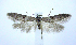  ( - jflandry0423)  @13 [ ] CreativeCommons - Attribution (2010) Unspecified Centre for Biodiversity Genomics