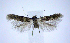  ( - jflandry0867)  @14 [ ] CreativeCommons - Attribution (2010) Unspecified Centre for Biodiversity Genomics