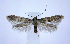  ( - jflandry0504)  @14 [ ] CreativeCommons - Attribution (2010) Unspecified Centre for Biodiversity Genomics