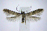  ( - jflandry0912)  @14 [ ] CreativeCommons - Attribution (2010) Unspecified Centre for Biodiversity Genomics