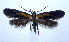  ( - jflandry0756)  @13 [ ] Copyright (2007) Unspecified Canadian National Collection