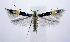  ( - jflandry0882)  @13 [ ] CreativeCommons - Attribution (2010) Unspecified Centre for Biodiversity Genomics