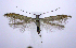  ( - jflandry0645)  @13 [ ] Copyright (2007) Unspecified Canadian National Collection