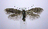  ( - jflandry0675)  @14 [ ] Copyright (2007) Unspecified Canadian National Collection