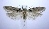  ( - jflandry0519)  @13 [ ] CreativeCommons - Attribution (2010) Unspecified Centre for Biodiversity Genomics