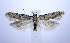  ( - jflandry0516)  @13 [ ] CreativeCommons - Attribution (2010) Unspecified Centre for Biodiversity Genomics