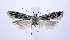  ( - jflandry0775)  @13 [ ] Copyright (2007) Unspecified Canadian National Collection