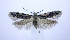  ( - jflandry0770)  @13 [ ] Copyright (2007) Unspecified Canadian National Collection