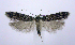  ( - jflandry0534)  @13 [ ] Copyright (2007) Unspecified Canadian National Collection