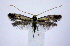  ( - jflandry0868)  @13 [ ] CreativeCommons - Attribution (2010) Unspecified Centre for Biodiversity Genomics