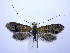  ( - jflandry0692)  @13 [ ] Copyright (2007) Unspecified Canadian National Collection