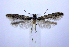  ( - jflandry0786)  @12 [ ] Copyright (2007) Unspecified Canadian National Collection