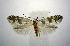  ( - jflandry0903)  @14 [ ] Copyright (2007) Unspecified Canadian National Collection