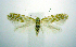  ( - jflandry0484)  @14 [ ] Copyright (2007) Unspecified Canadian National Collection