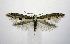  ( - jflandry0788)  @14 [ ] CreativeCommons - Attribution (2010) Unspecified Centre for Biodiversity Genomics