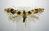  ( - jflandry0850)  @14 [ ] Copyright (2007) Unspecified Canadian National Collection