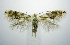  ( - jflandry0812)  @14 [ ] Copyright (2007) Unspecified Canadian National Collection