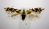  ( - jflandry0807)  @14 [ ] CreativeCommons - Attribution (2010) Unspecified Centre for Biodiversity Genomics