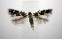  ( - jflandry0734)  @14 [ ] Copyright (2007) Unspecified Canadian National Collection