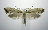  ( - jflandry0860)  @15 [ ] Copyright (2007) Unspecified Canadian National Collection