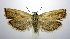  ( - jflandry0343)  @14 [ ] CreativeCommons - Attribution (2010) Unspecified Centre for Biodiversity Genomics