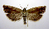 ( - jflandry0344)  @14 [ ] CreativeCommons - Attribution (2010) Unspecified Centre for Biodiversity Genomics