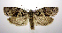  ( - jflandry0350)  @14 [ ] Copyright (2007) Unspecified Canadian National Collection