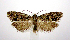  ( - jflandry0798)  @14 [ ] Copyright (2007) Unspecified Canadian National Collection