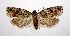  ( - jflandry0417)  @14 [ ] Copyright (2007) Unspecified Canadian National Collection