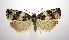  ( - jflandry0429)  @14 [ ] Copyright (2007) Unspecified Canadian National Collection