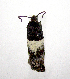  ( - jflandry0627)  @12 [ ] CreativeCommons - Attribution (2010) Unspecified Centre for Biodiversity Genomics