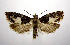  ( - jflandry0849)  @13 [ ] Copyright (2007) Unspecified Canadian National Collection