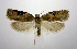  ( - jflandry0373)  @14 [ ] Copyright (2007) Unspecified Canadian National Collection