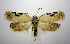  ( - jflandry0371)  @14 [ ] Copyright (2007) Unspecified Canadian National Collection