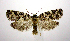  ( - jflandry0601)  @14 [ ] Copyright (2007) Unspecified Canadian National Collection