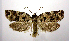  ( - jflandry0820)  @14 [ ] Copyright (2007) Unspecified Canadian National Collection