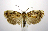  ( - jflandry0818)  @13 [ ] CreativeCommons - Attribution (2010) Unspecified Centre for Biodiversity Genomics