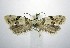  ( - jflandry0842)  @12 [ ] Copyright (2007) Unspecified Canadian National Collection