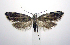  ( - jflandry0678)  @14 [ ] Copyright (2007) Unspecified Canadian National Collection