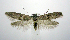  ( - jflandry0357)  @14 [ ] CreativeCommons - Attribution (2010) Unspecified Centre for Biodiversity Genomics