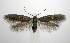  ( - jflandry0720)  @14 [ ] Copyright (2007) Unspecified Canadian National Collection