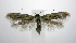  ( - jflandry0721)  @14 [ ] Copyright (2007) Unspecified Canadian National Collection