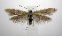  ( - jflandry0722)  @14 [ ] Copyright (2007) Unspecified Canadian National Collection