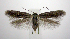  ( - jflandry0723)  @14 [ ] Copyright (2007) Unspecified Canadian National Collection