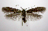  ( - jflandry0724)  @14 [ ] Copyright (2007) Unspecified Canadian National Collection