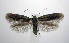  ( - jflandry0677)  @14 [ ] Copyright (2007) Unspecified Canadian National Collection