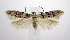  ( - jflandry0511)  @14 [ ] CreativeCommons - Attribution (2010) Unspecified Centre for Biodiversity Genomics