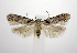  ( - jflandry0514)  @14 [ ] CreativeCommons - Attribution (2010) Unspecified Centre for Biodiversity Genomics