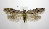  ( - jflandry0517)  @14 [ ] CreativeCommons - Attribution (2010) Unspecified Centre for Biodiversity Genomics