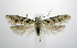 ( - jflandry0515)  @14 [ ] CreativeCommons - Attribution (2010) Unspecified Centre for Biodiversity Genomics